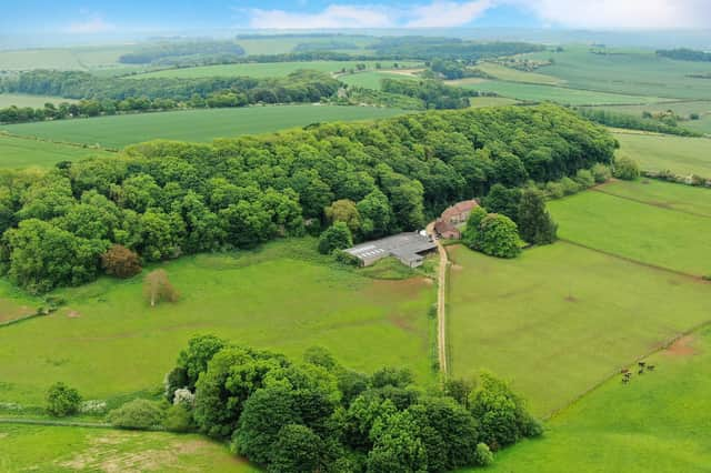 Part of the grounds at The Grove,  Scamblesby.