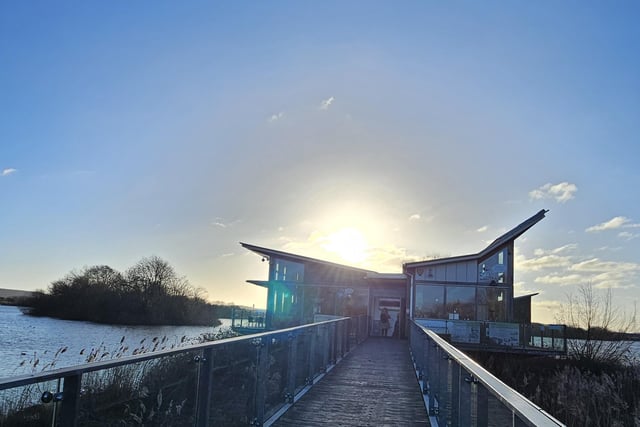 It's a sunny winter's day at Attenborough Nature Reserve in this photo taken and sent in by Janet Hughes.