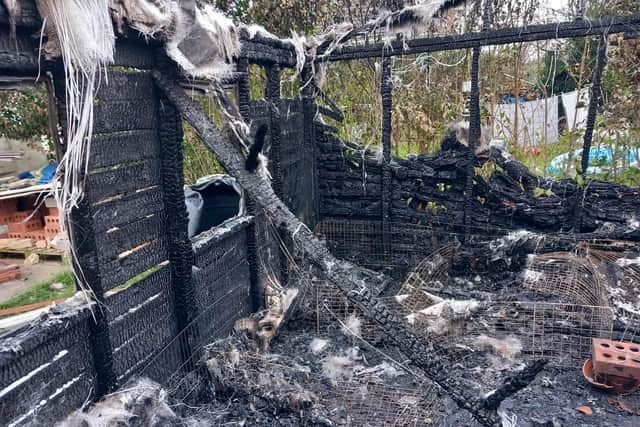 Twelve guinea pigs were killed in the fire that swept through a garden shed in Burgh le Marsh.