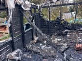 Twelve guinea pigs were killed in the fire that swept through a garden shed in Burgh le Marsh.