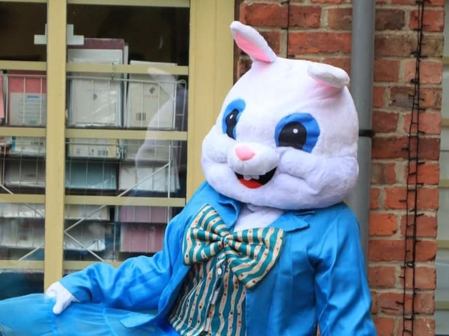 The White Rabbit having Fun.