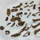 The "very unusual" skeletal remains of the small 'lap dog'.