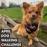 Lincolnshire dog owners are being urged to walk 60 miles with their four-legged friends over the course of April to raise money for Stand Up To Cancer’s life-saving research
