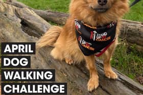 Lincolnshire dog owners are being urged to walk 60 miles with their four-legged friends over the course of April to raise money for Stand Up To Cancer’s life-saving research