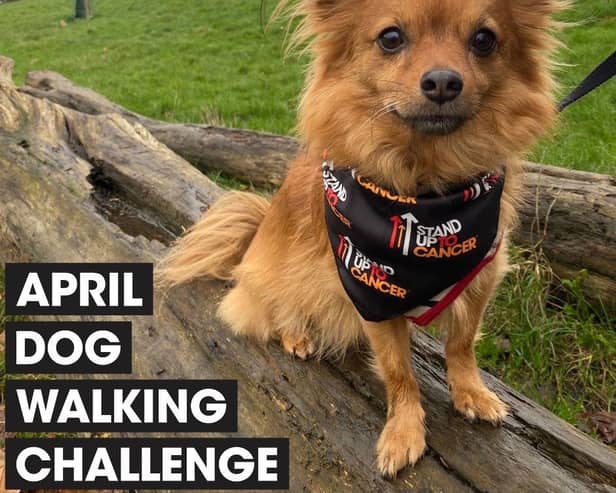 Lincolnshire dog owners are being urged to walk 60 miles with their four-legged friends over the course of April to raise money for Stand Up To Cancer’s life-saving research