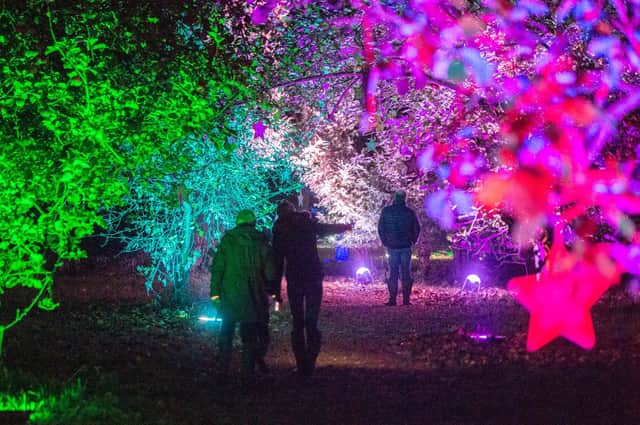 Stourton Estates Enchanted Lights display. Image: John Aron