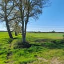 Land on High Rise, Coleby, where a battery farm is proposed. Credit: LDRS