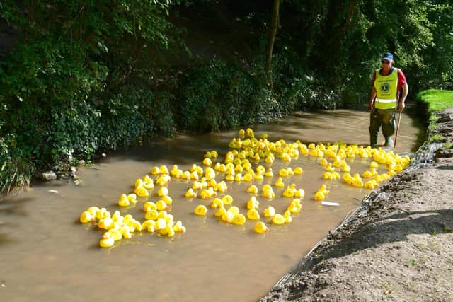 Jeff Fieldsend releasing the ducks.