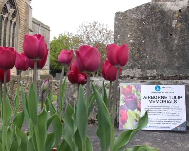 Tulips at St Vincent's Church, Caythorpe. Photo: SKDC