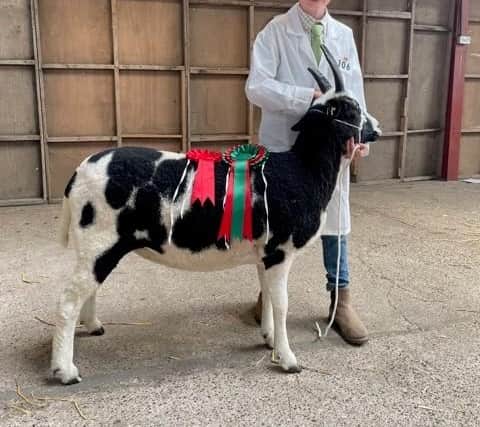 Young farmer Joe Trofer-Cook, 10, will be sharing his farming knowledge at the Lincolnshire Show.