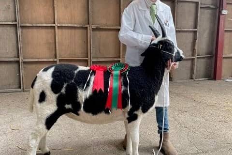 Young farmer Joe Trofer-Cook, 10, will be sharing his farming knowledge at the Lincolnshire Show.