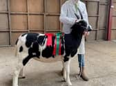 Young farmer Joe Trofer-Cook, 10, will be sharing his farming knowledge at the Lincolnshire Show.