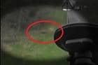 A video clip showing the fox run across the road. Photo: Lincs Police