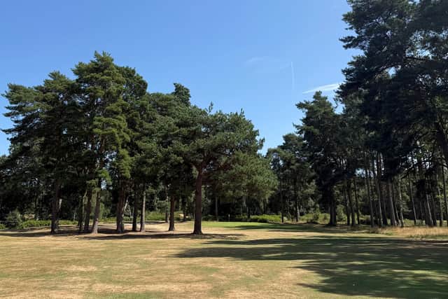Market Rasen Golf Club - successful President's Day.