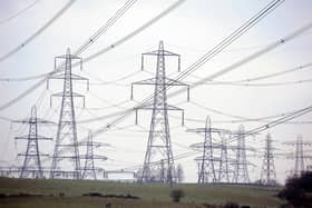 A total of 400 electricity pylons would be spread across Lincolnshire's countryside if National Grid's plan goes ahead (PHOTO BY: Michael Gillen/National World)