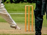 Cricket news.