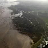 Tetney Marshes RSPB Reserve. Credit - RSPB