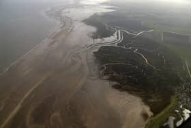 Tetney Marshes RSPB Reserve. Credit - RSPB