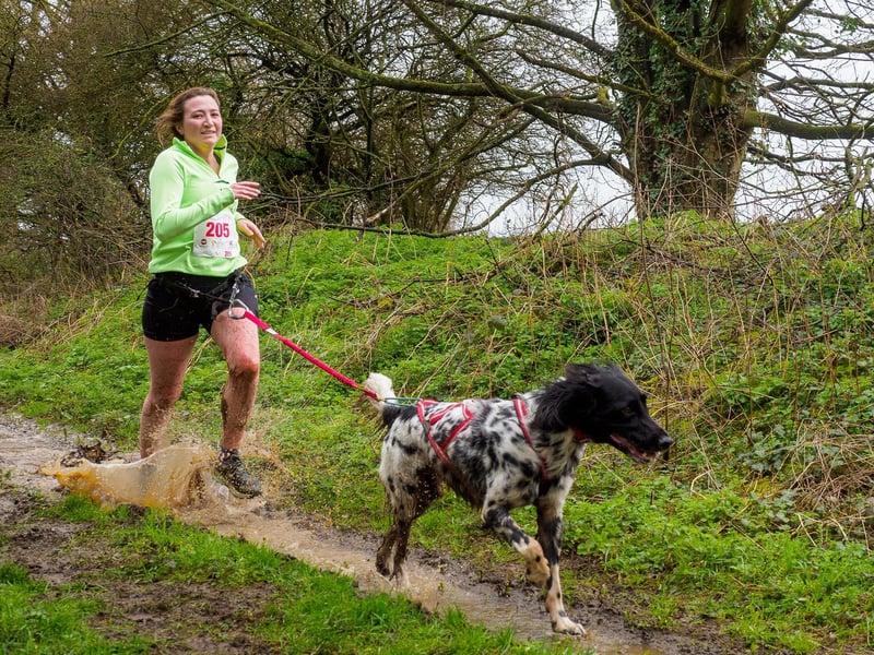 Canicross Lincolnshire's Katie Davill.