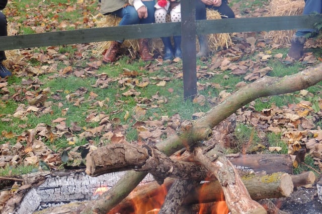 Eleanor, Wren and Arthur Stanesby of Beckingham warm themselves by the fire pit.
