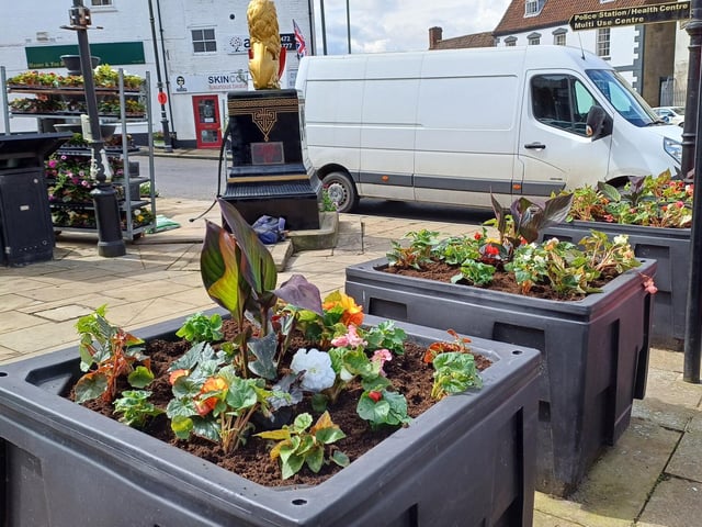 Planters will fill out over the weeks