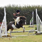Junior Show Jumping in flow.