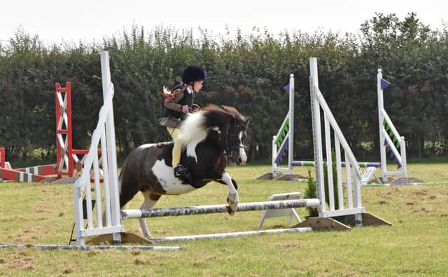 Junior Show Jumping in flow.