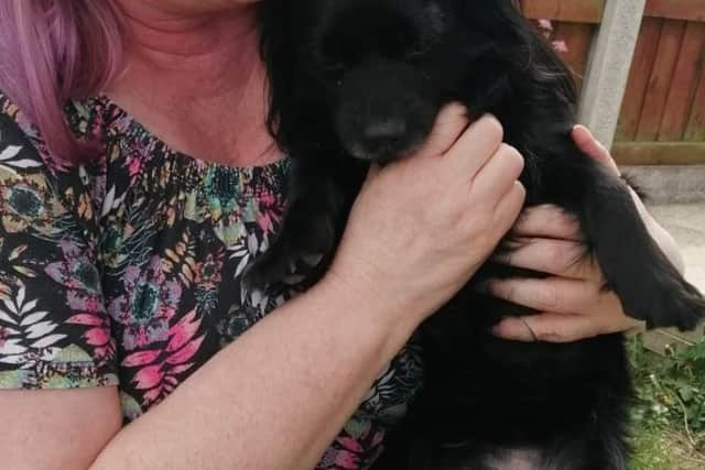 Lisa Dean with a rescued chihuahua.