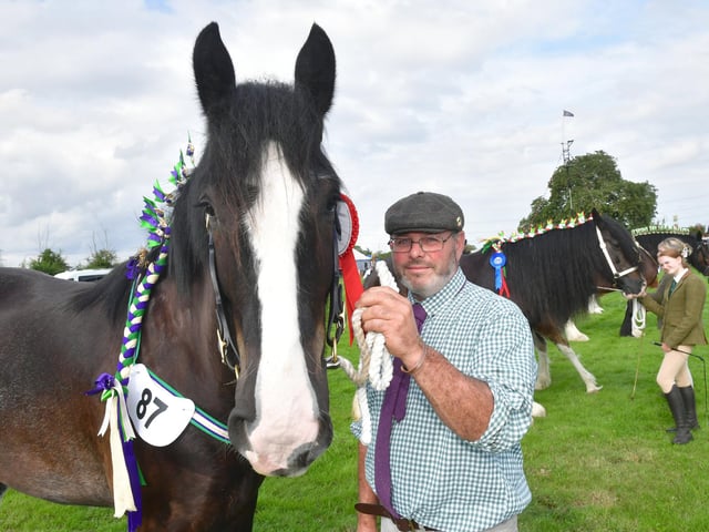 Heavy Horse Parade in the Main Ring. Dean Mellors of Redmile with Fergus. 1st in 2-year-old class