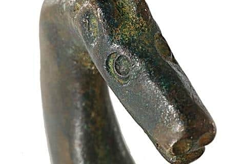 Experts initially believed it to be unique. Photo: LCC