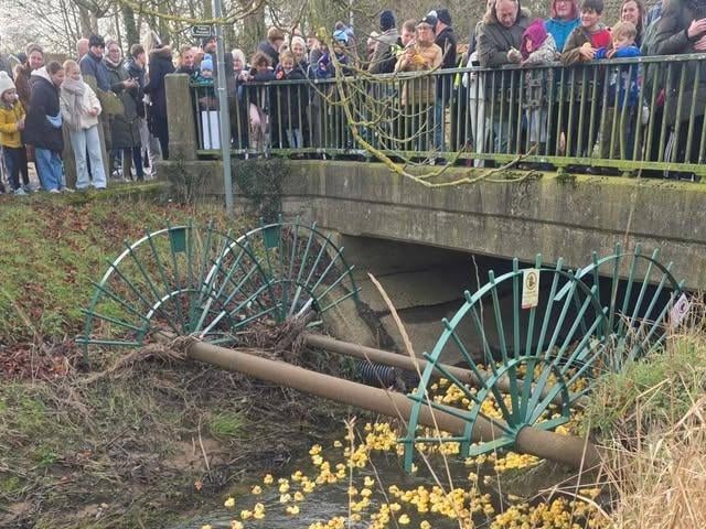 The ducks pass under Parry's Bridge at the start of the race. Photo: Angela Mayne