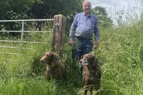 Cllr Andrew Hagues ot walking with his dogs