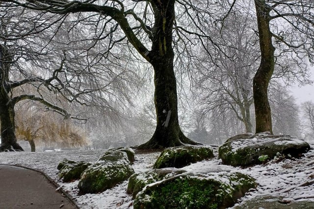 An excellent wintry picture from Michael Parrott, taken during a recent walk at Carr Bank Park, Mansfield.