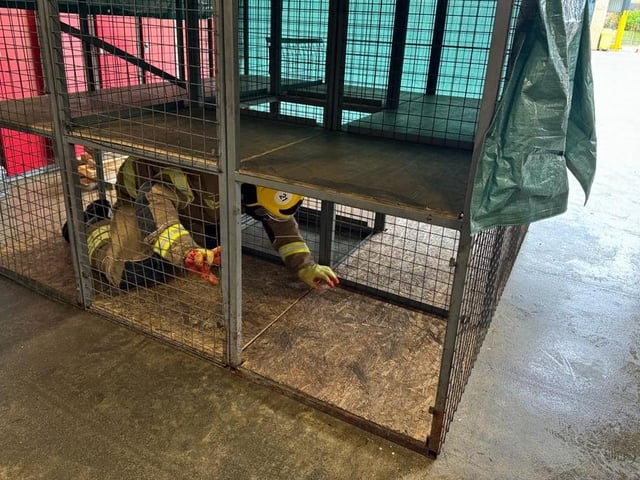 Recreating crawling through a confined space in a darkened room. Photo: Holly Parkinson