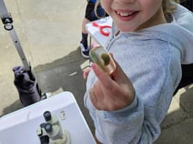 Exploring the Nature Lab in Spilsby.