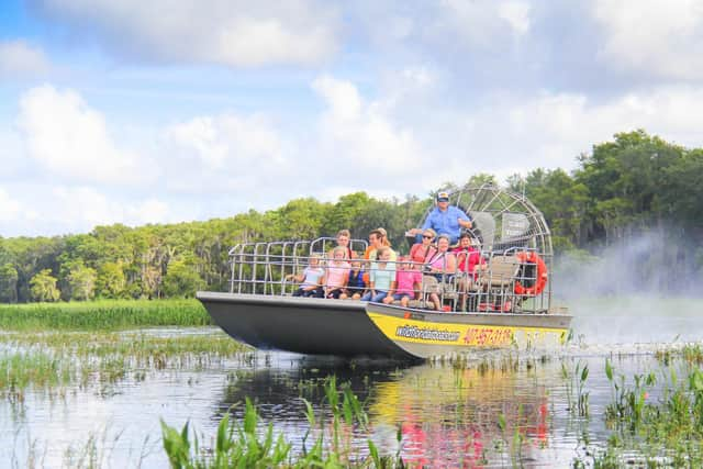 The excitement of Wild Florida