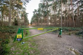 The car park at Ostler's Plantation near Woodhall Spa has been temporarily closed and specialists called in to clean it up due to "irresponsible" dog fouling.