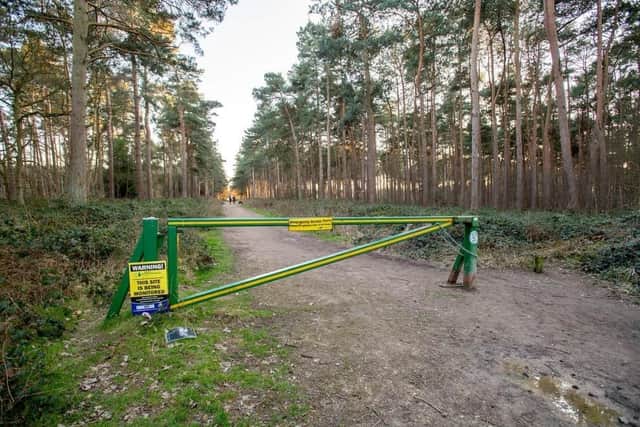 The car park at Ostler's Plantation near Woodhall Spa has been temporarily closed and specialists called in to clean it up due to "irresponsible" dog fouling.