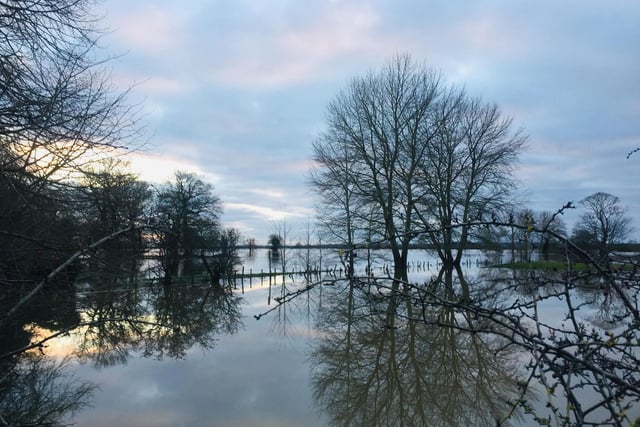 A beautifully reflective shot from Kim Welberry showing some of the recent floods at Lea Marsh.