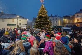 The community turned out for the tree lighting