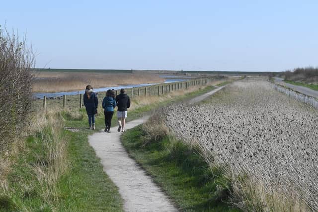 RSPB Frampton Marsh. Library image
