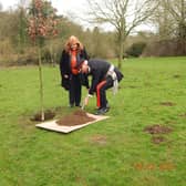 Mayor of Louth Julia Simmons and the Lord Lieutenant planting the tree.