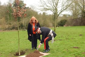 Mayor of Louth Julia Simmons and the Lord Lieutenant planting the tree.