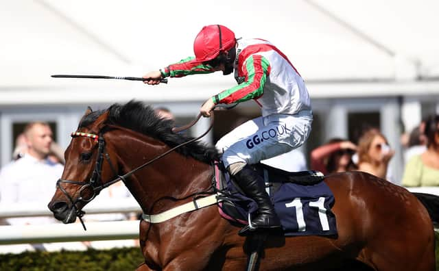 Francky Du Berlais enjoyed dominant win at Market Rasen. (Photo by Tim Goode - Pool/Getty Images)