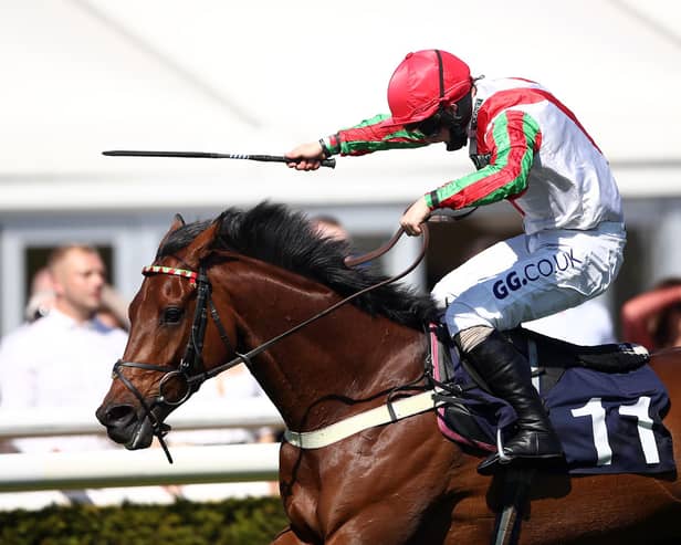 Francky Du Berlais enjoyed dominant win at Market Rasen. (Photo by Tim Goode - Pool/Getty Images)
