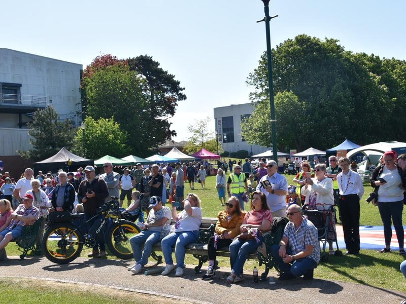 Crowds enjoying the entertainment at the Picnic in the Park.