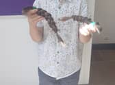 Charlie's hair will be donated to the Little Princess Trust to make wigs for children with cancer.