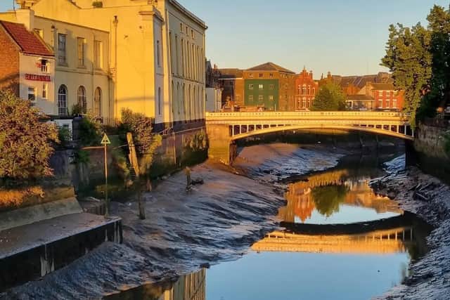 A crop of Our latest Reader Picture.