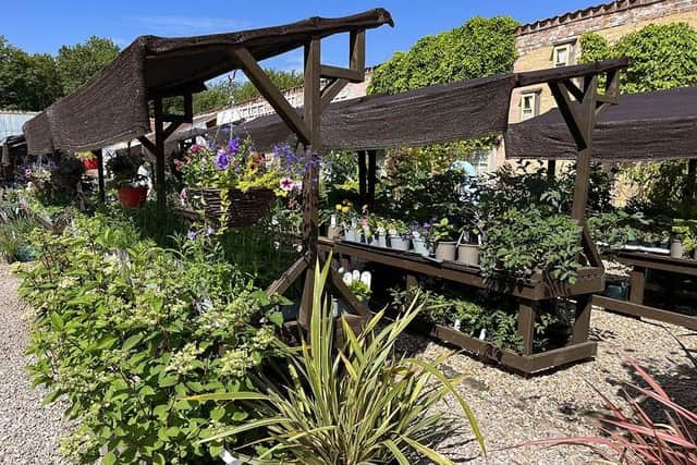 The popular plant sales area is one of many attractions at Walled Garden Baumber.