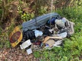 The rubbish was dumped illegally